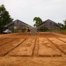 그린하우스 이미지