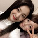 노에 Daum카페