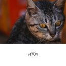 도리1길 이미지