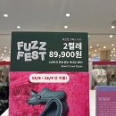 FUZZ FEST POP 이미지