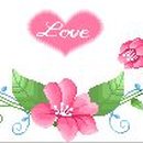 경희백세인한의원 이미지