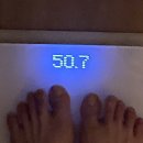 나우점핑다이어트 - 부천시 원미구 부흥로 190 | 송파점핑 잠실점핑 점핑나우 점핑다이어트 후기 (효과는 굉장했다..)