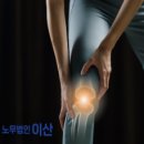 솔비건설