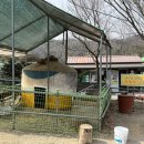 칠곡양떼목장 이미지