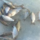 장원약국 이미지