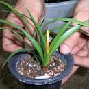 정모소프트 이미지