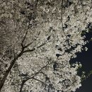 [24.04] 스트레스는 만병의 근원