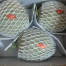 야훼농장 이미지