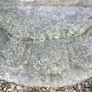 연화공원 이미지