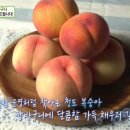 선사농원 이미지