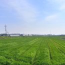 천사 태양광발전소 이미지