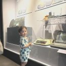 용인시박물관 | [무료] 용인시박물관 3살 6살 아이와 여름 실내 가볼만한곳 | 에어컨 빵빵한 체험 후기