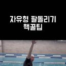 @Goodnightzinjo 가입 자유형 팔돌리기 정확한 방법!! 힘 빠지는 자유형을 위한 팔 돌리기 꿀팁 4가지!(필수시청, 팔돌리 이미지