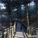 자연속으로 - 무안군 양장길 56-7 | 자연속으로