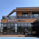 지은수제돈까스 | [성환] 율금리돈까스 후기 | 수제사과왕돈까스 | 경양식 돈까스 맛집