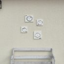 왈왈스테이 이미지