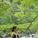 (사)합천군관광협의회 | 경남 합천여행 가볼만한곳 해인사 소리길 대장경테마파크 택시투어