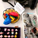 튼튼어린이치과의원 이미지