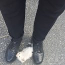 정봉아농장 이미지