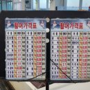 주전 활어회직판장 티스토리