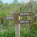 길손닭갈비