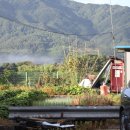 새마을민박 이미지