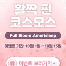 아메리슬립