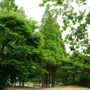 성호공원_성호기념관주변 이미지