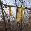 평지2리 노인회관 | 노고봉(364) 뒷산(303) 가다리(소데이 203) 농소초뒷산(194) 삼태봉(140)/경북김천