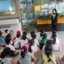 새빛솔금 이미지