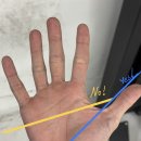 체크포인트짐 이미지