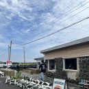 우도몬딱 | [제주도/우도] 수제버거맛집 하하호호버거, 땅콩아이스크림 우도몬딱 내돈내산 솔직후기