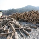 길상민박 이미지