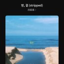 밤결 네이버블로그