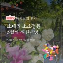 소소정원 | 5월의 소소정원 독서모임 후기ㅣ괴산 소매리에서 만난 책과 정원, 그리고 중년의 성장