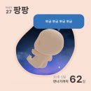 광주광역시 동구 보건소 | 임신 준비의 시작 산전검사 - 광주광역시 동구 보건소 / 광천동 프레메디 산부인과 / 베이비 빌리