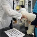 솔 동물의료센터 | 24시 솔동물의료센터 l 군포동물병원 반려동물 건강검진 찐후기