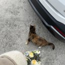 별담하늘담 이미지