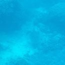 경안여행사 | [케언즈 여행]:호주그레이트 베리어리프투어 및 스노클링 (Reef Magic 로컬할인 받기)