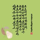 사건 과 구조 이미지