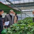 김기수농장 이미지