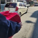 성환시장 | 내돈내산 👍 평택 통복시장 과일가게 🍈 🍊 | 성환청과 메론·레드향 구매 후기