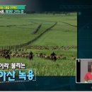 원용목장 이미지