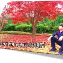 백경 - 순천시 유동3길 13 | 백경