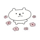 루피아노음악학원 - 천안시 서북구 불당25로 138 | 루피아노음악학원