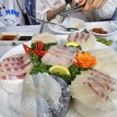 일송활어회 이미지