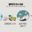 와이에스기획 이미지