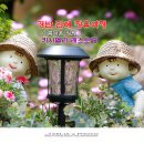 카사벨라 이미지