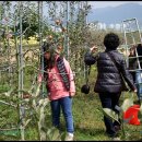 예진가족농장 이미지