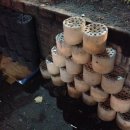 기찻길 연탄불 생고기 이미지